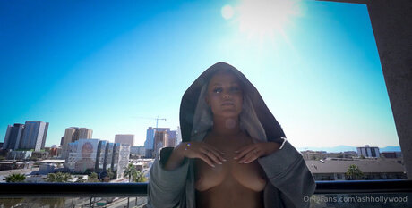 Ashhollywood art de star du porno archive