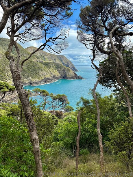 Breasts In Nature Free étoile chaude galeries