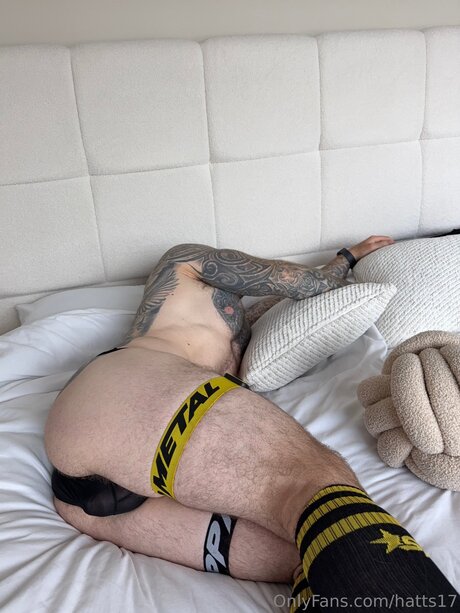 Hatts17 star du porno belle archive