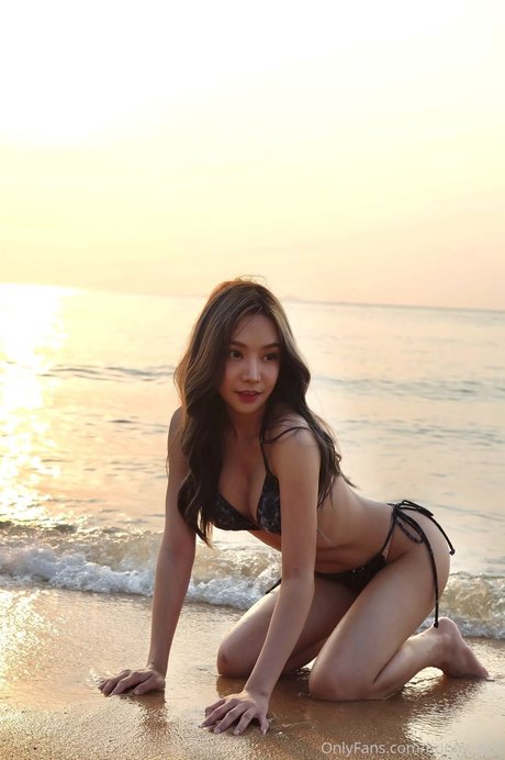 Bunny ged actrice de grande qualité collection