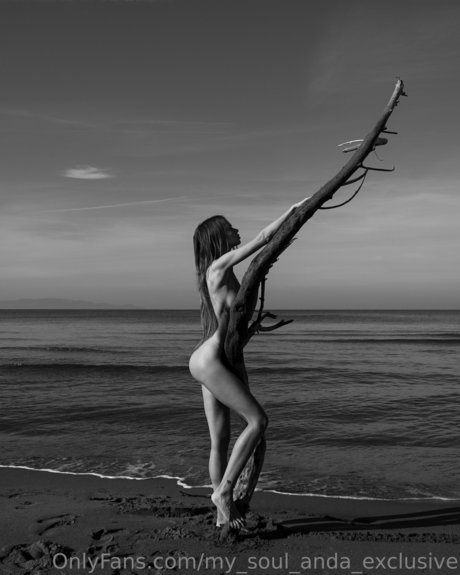 _Anda Kiev étoile parfaite collection