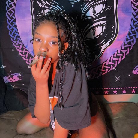 Little Me art de star du porno collection