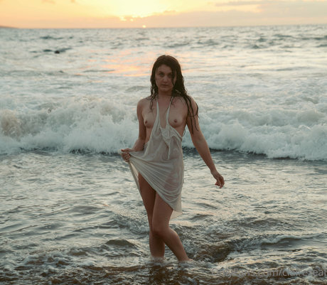 Claire Zeal actrice adulte collection