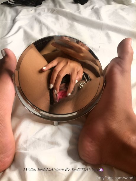 Yandii_ étoile de haute qualité galerie