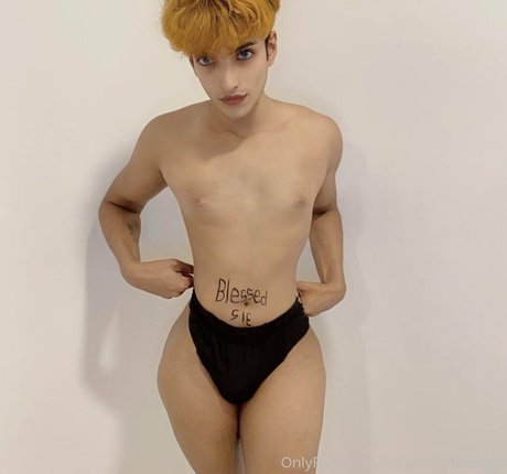 zorilee étoile de l'art photos