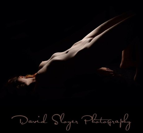 annasilk haut étoile collection