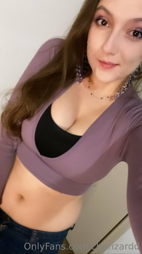 Charizard modèle sympa images