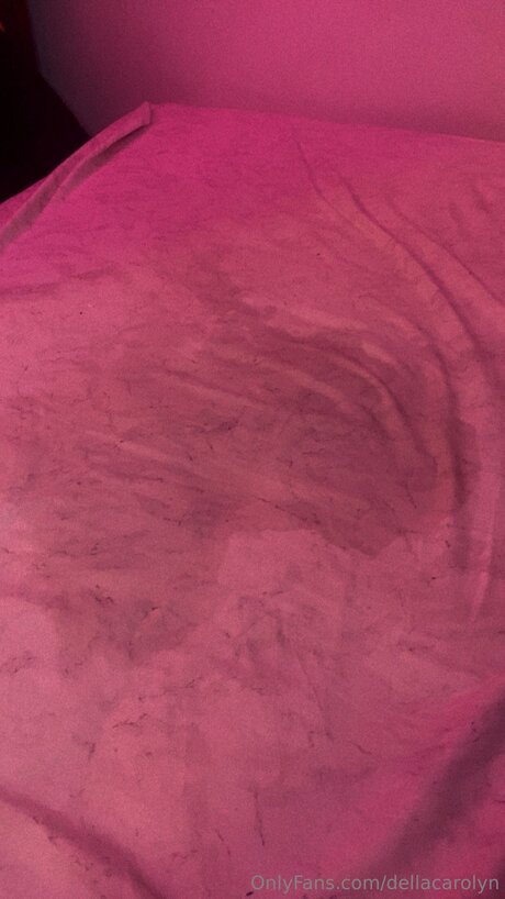Dellacarolyn star du porno parfaite image
