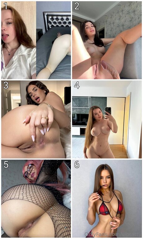 Viptatty star du sexe collection