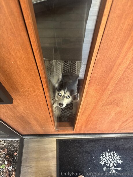 Alyshanewman star du porno chaud img