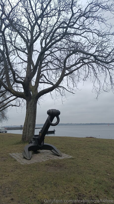 Alexbitchcraft4free nus étoiles archive