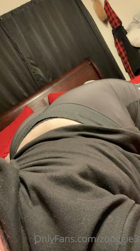 zooggie3 nus de stars du porno galeries