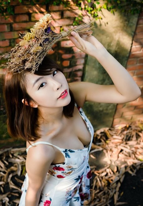 Zoeso étoile magnifique galerie