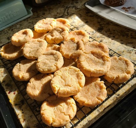 zoelevain top star photos