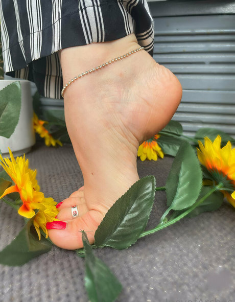 JoeyofArches étoile de haute qualité photo