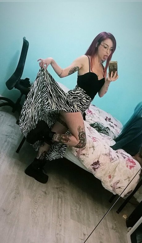 euforia sexe de star du porno collection