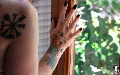 Valentina Fellina top star galerie