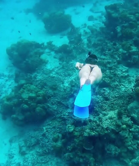 grosse chatte onlyfans nus chauds archive