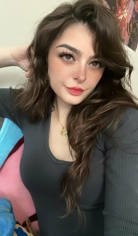 fans de culturistes uniquement adulte de haute qualité collection