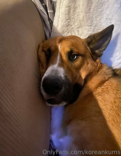 50 ans seulementfans art xxx des photos