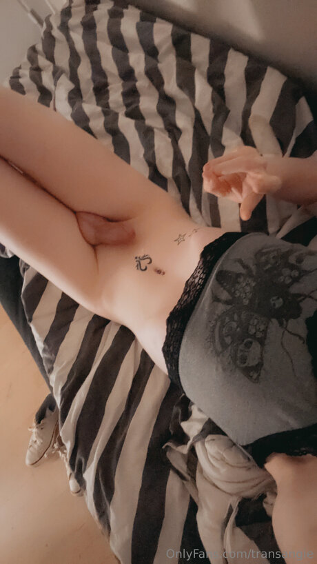 Transangie star du porno chaude des photos