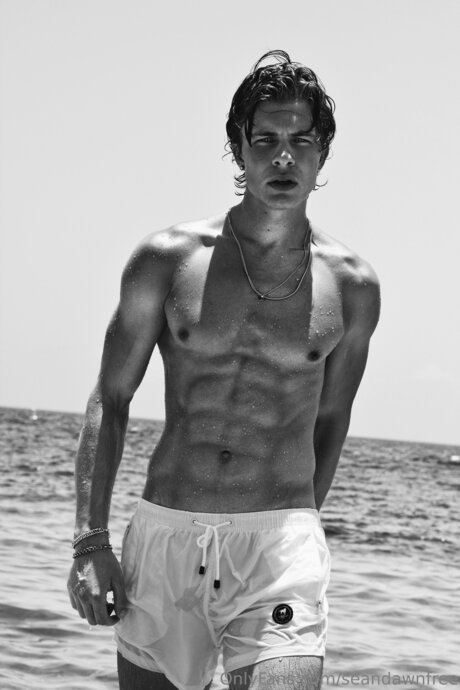 Seandawnfree modèle chaud galerie