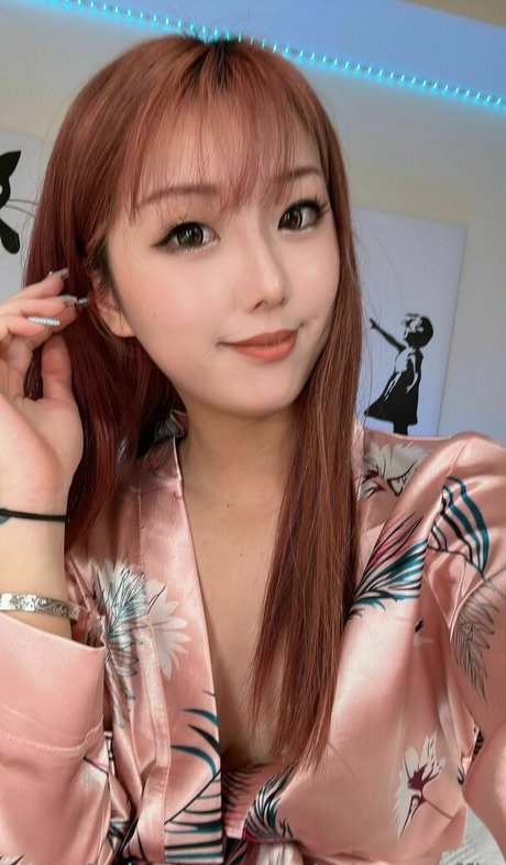 minamuffin art de star du porno image