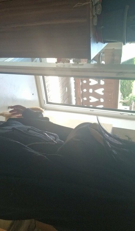 thethreeheadedsnake étoile nue galeries