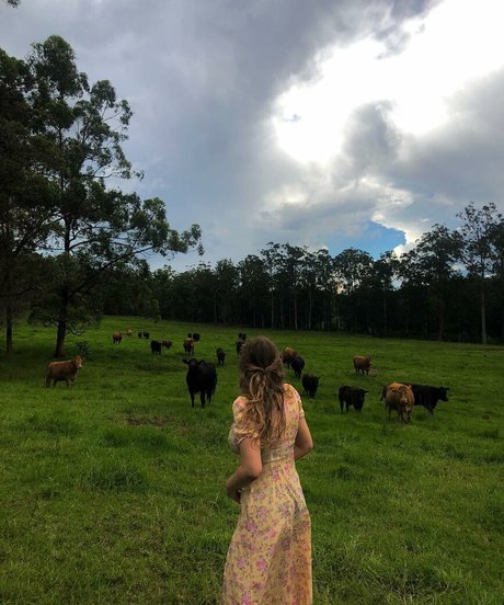 discord uniquement pour les fans haut hd galerie