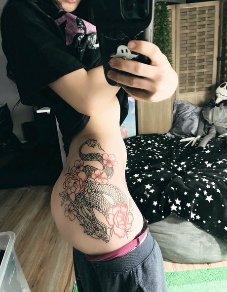 kiwisunset Fotoaufnahmen