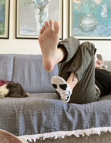 Thaiisu étoile magnifique image