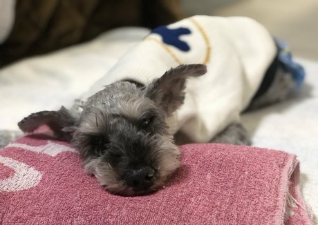 bronzage uniquementfans sympa gratuit collection