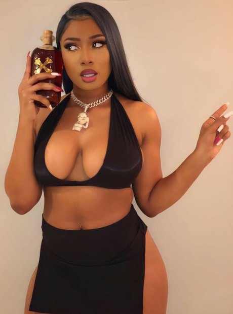 Megan Thee Stallion art modèle collection