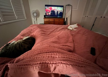 missbb03 free star du porno photos