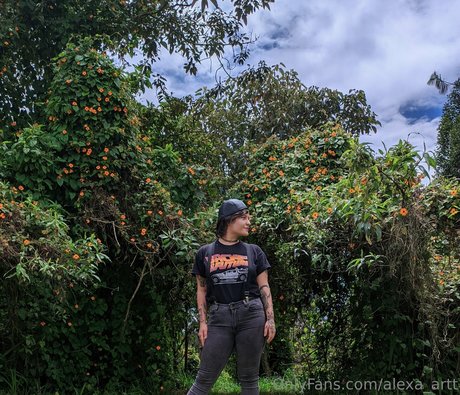 alexa artt étoile gratuite photo