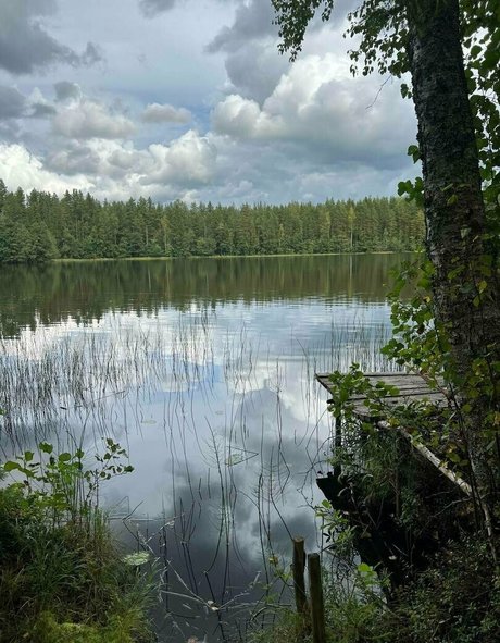 cheryl bloss_ star pornographique galerie