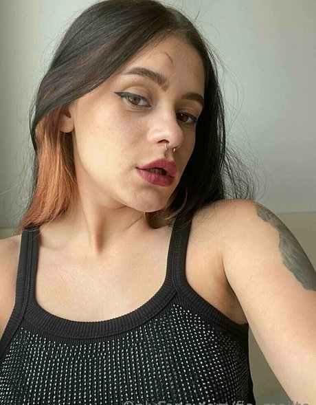 fia mojito haut étoile photos