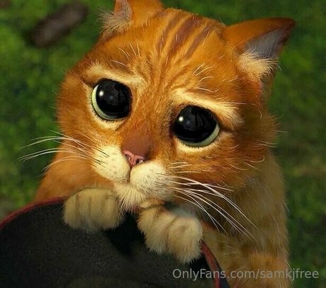 samkjfree modèle meilleur des photos