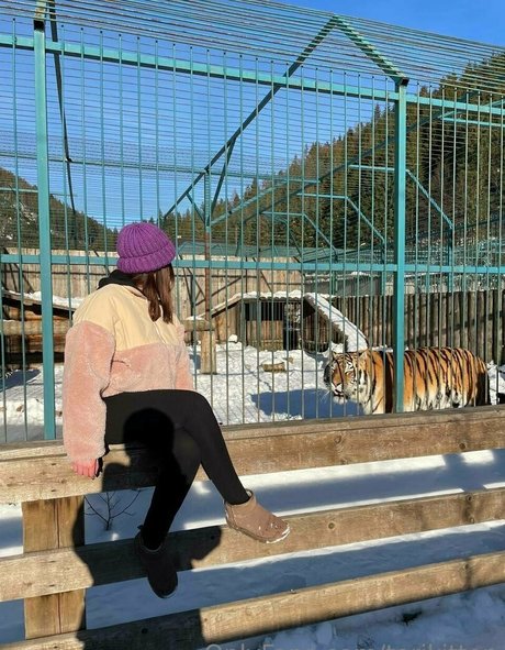 torikitten étoile nue image