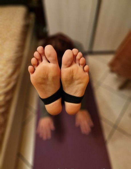 freenirvy star du porno belle collection