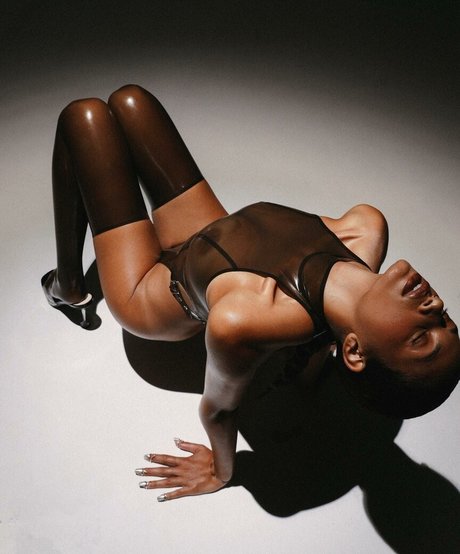 tanni no modèle parfait image