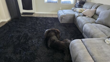 Match My Freak sexe de star du porno des photos