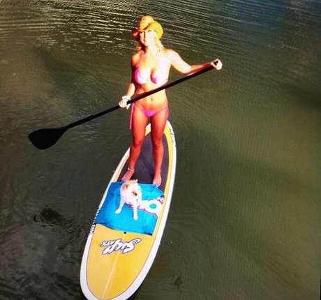 Brooke Hogan star du porno gratuite images