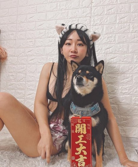 ggshacylin art star du porno image