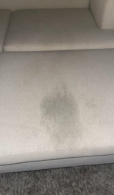 miachava belle étoile image