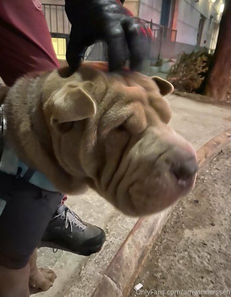 amyanderssen belle actrice photo