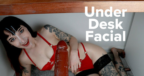 fans de bites uniquement porno sympa collection