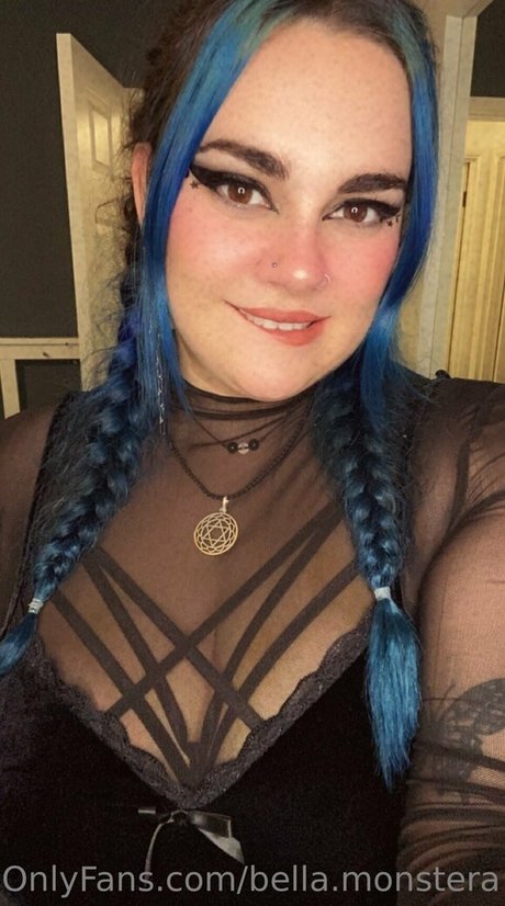 bella monstera joli modèle galerie