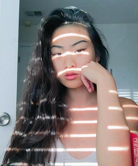 jassboo ty art étoile images