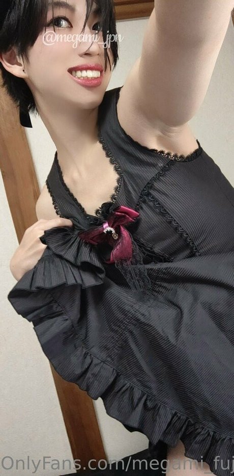 megami fuji modèle collection